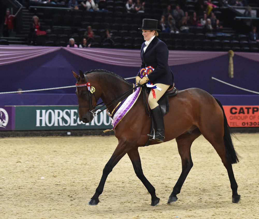 Farewell Horse of the Year Show victory for Beware Chalk Pit & Rebecca Court (Photo courtesy 1st Class Images/HOYS)
