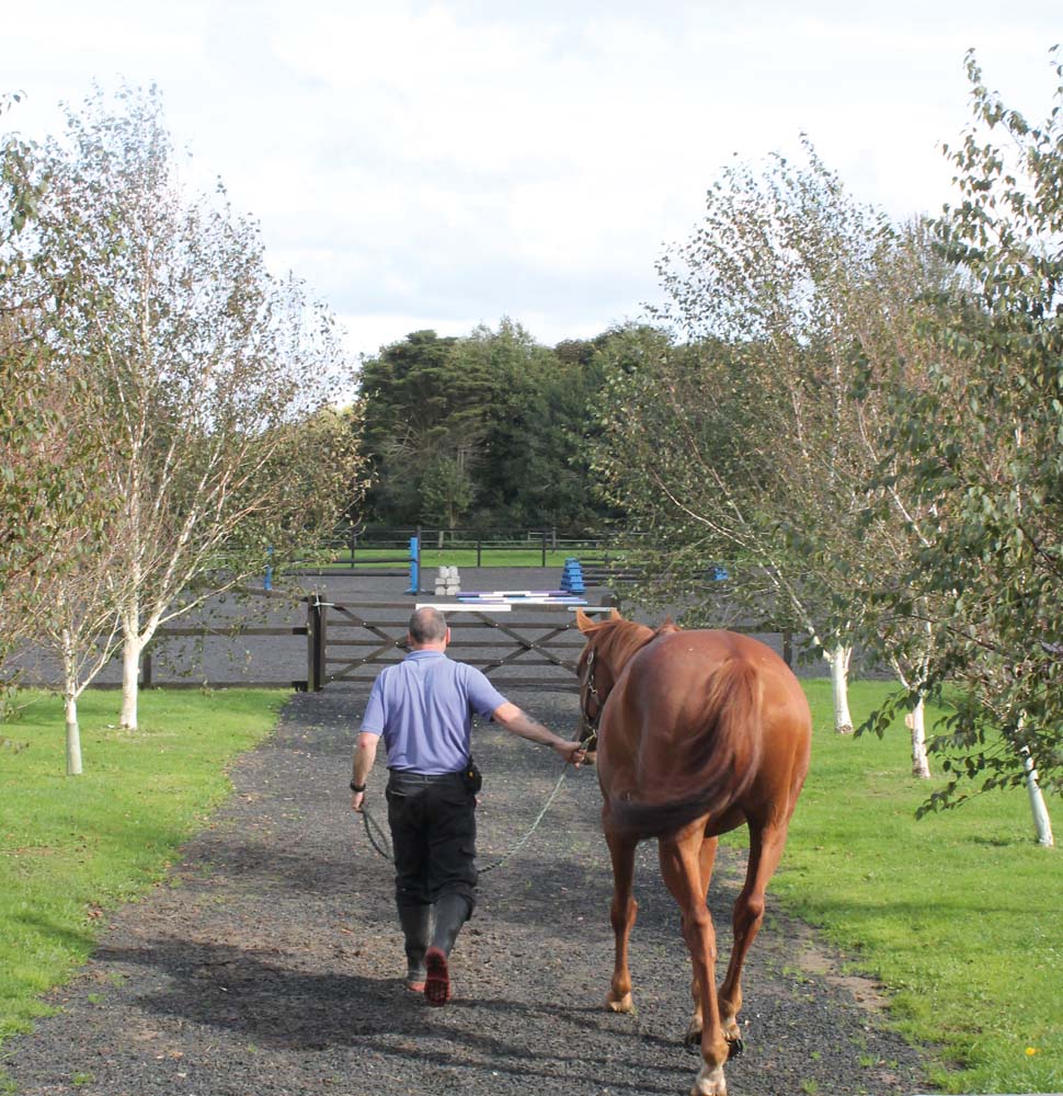 H.O.P.E.: read about Mike's Greatwood story