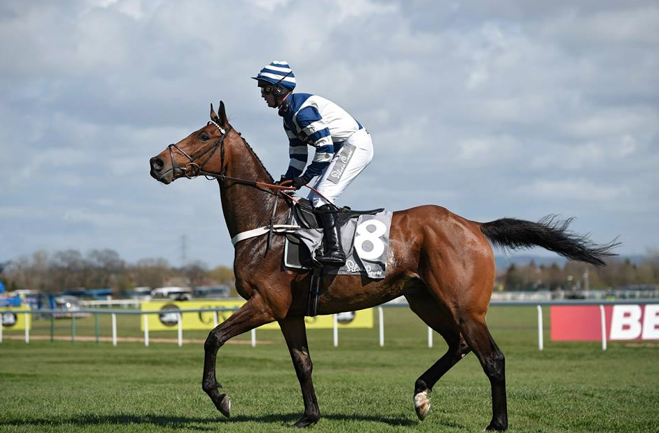 Whisper - trained by Nicky Henderson (Photo: Newbury Racecourse)