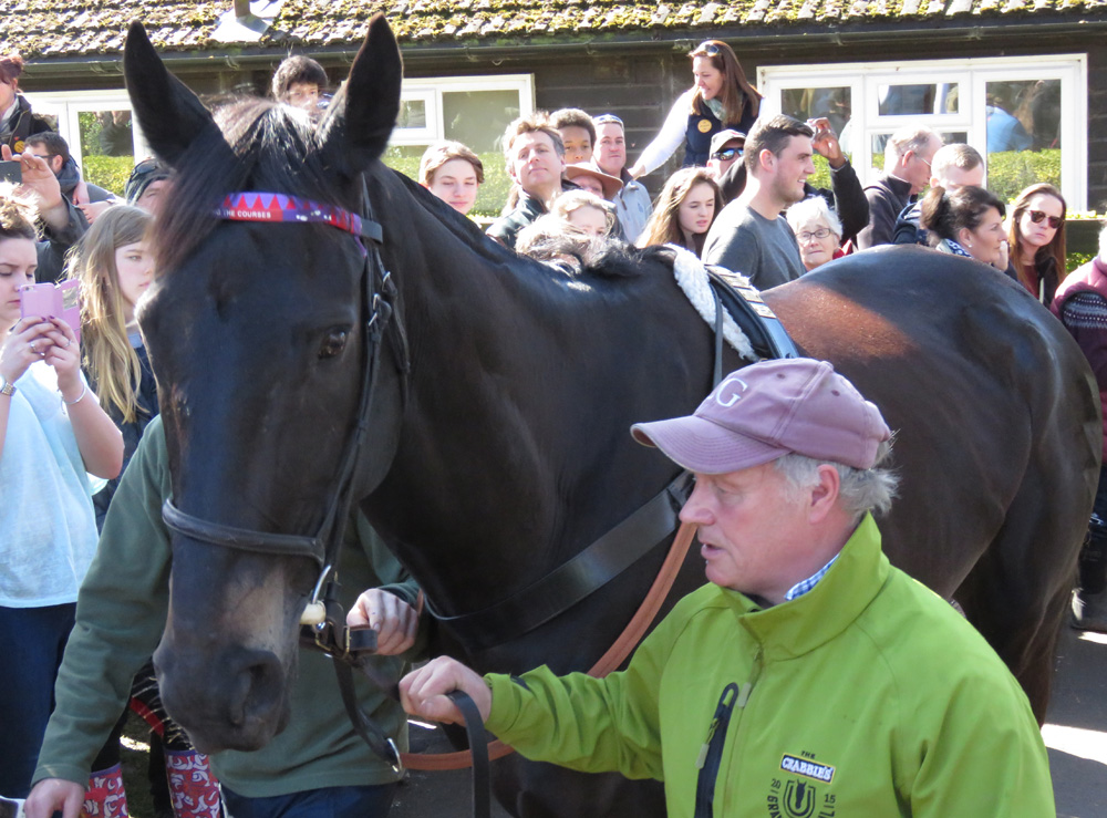 Lambourn Open Day 2016: Many Clouds - led by his groom Chris 'CJ' Jerdin - parades through the crowds