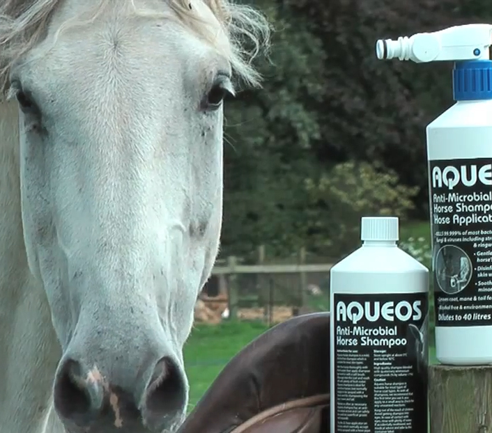 Rosie helps with a pack shot