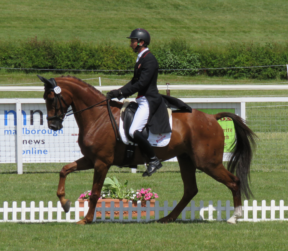 Alex Hua Tian & Don Geniro