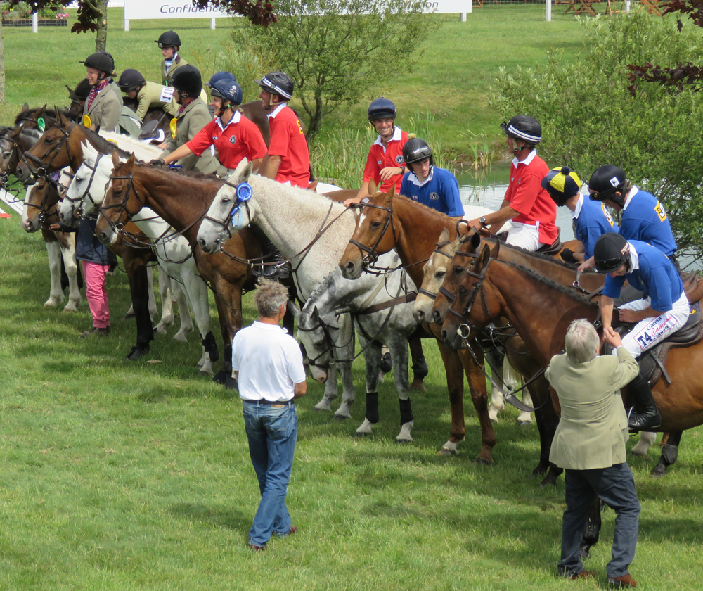 Rosettes all round...