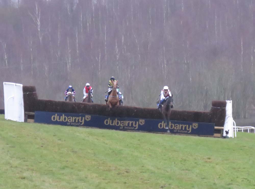 Sonneofpresenting (right) leads Beau Phil who was to fall heavily at the third third last fence