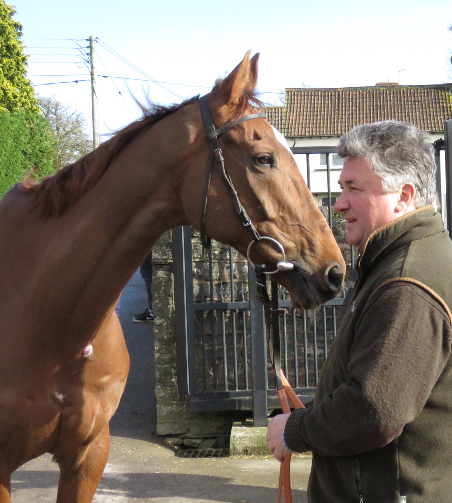 Nicholls with Silviniaco Conti