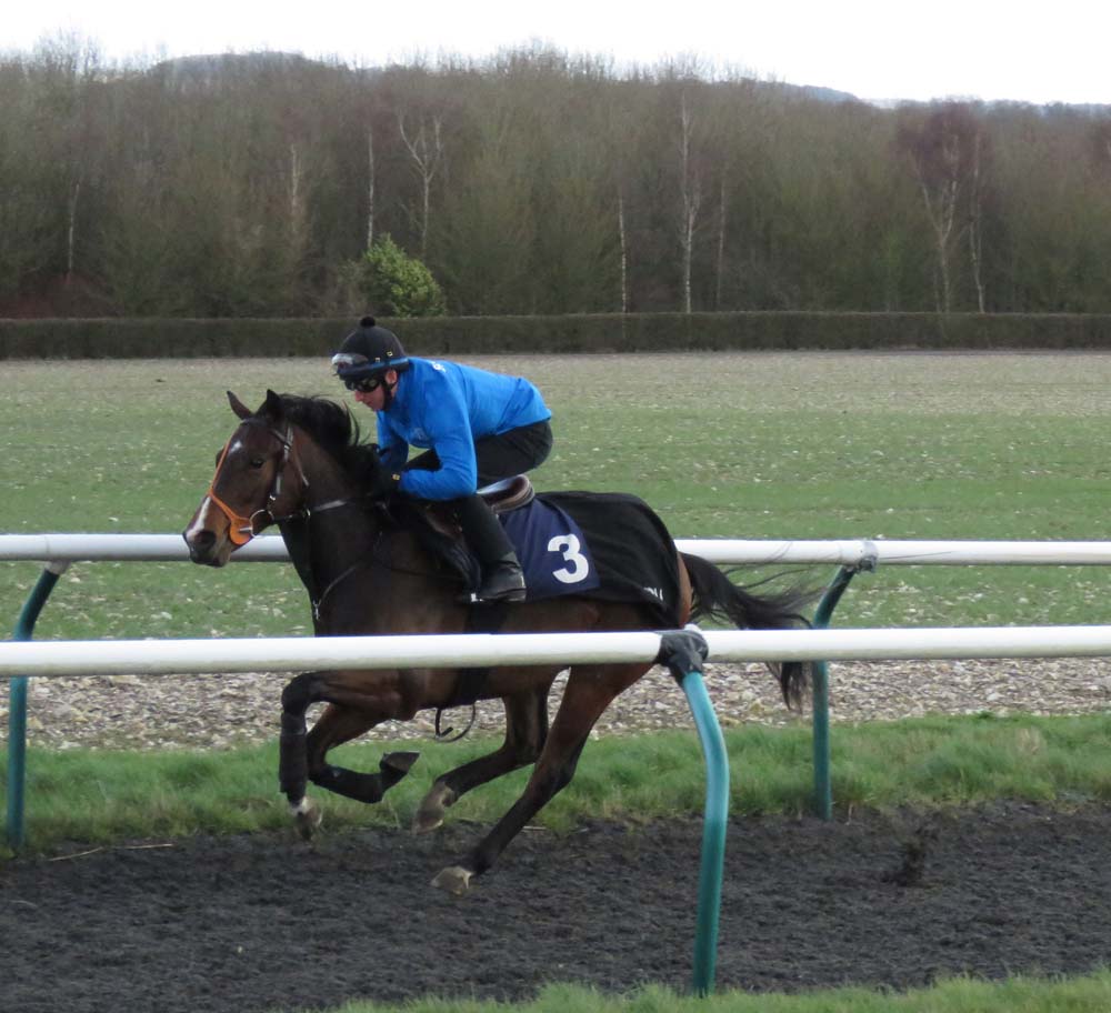 Training on the Manton all weather gallop with Martin Dwyer aboard (29 February 2020)