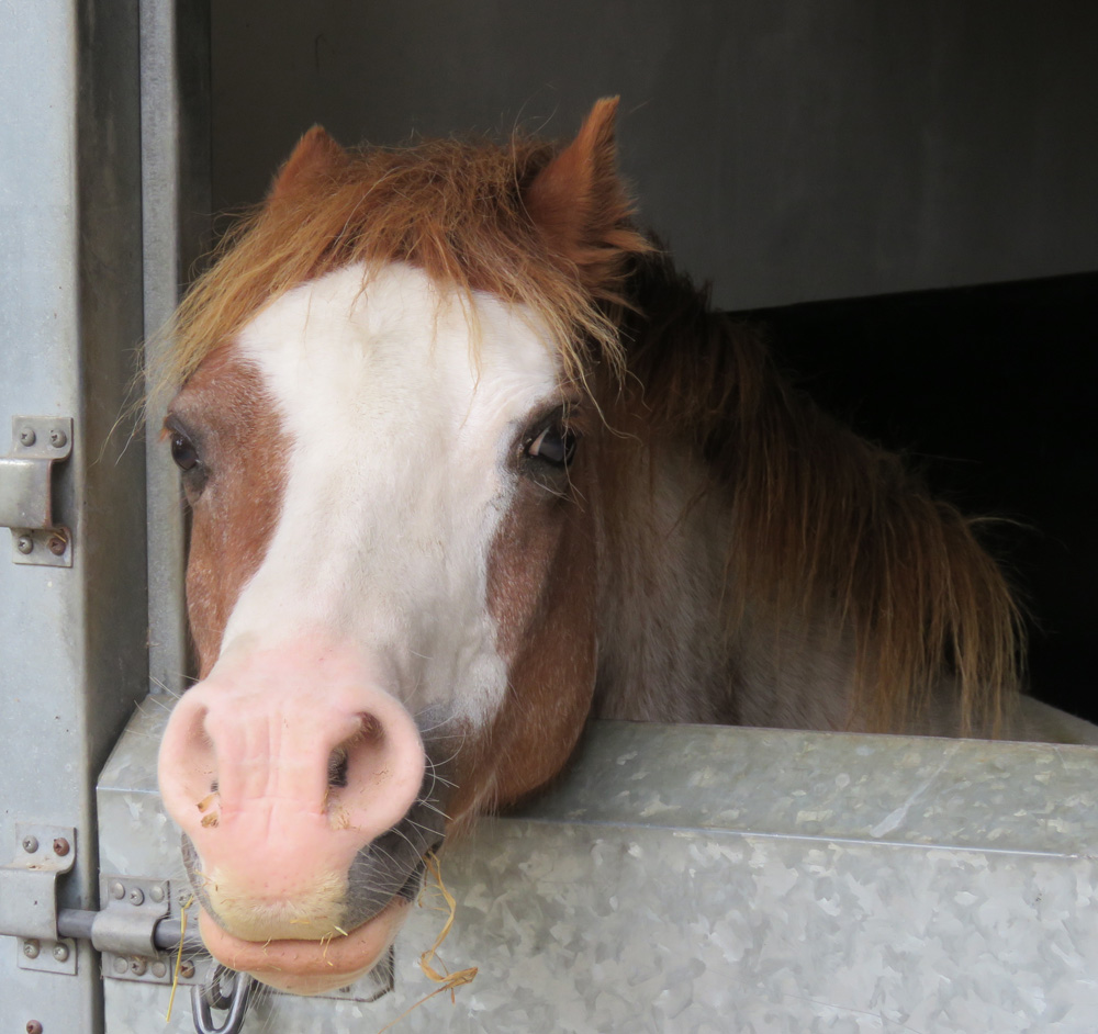 It all began with Gianni