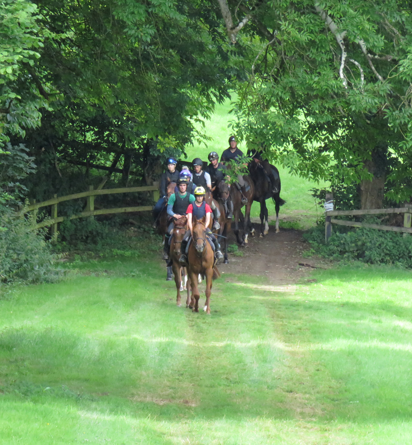 On the way home from the gallop