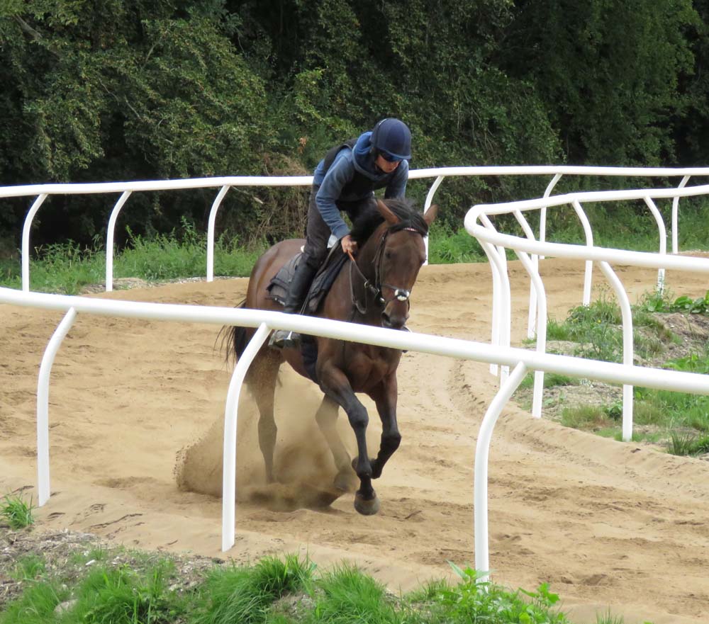 Four year-old mare Viva Vittoria (with Johnny Keating aboard) kicking up the sand on Emma Lavelle Racing's new exercise ring