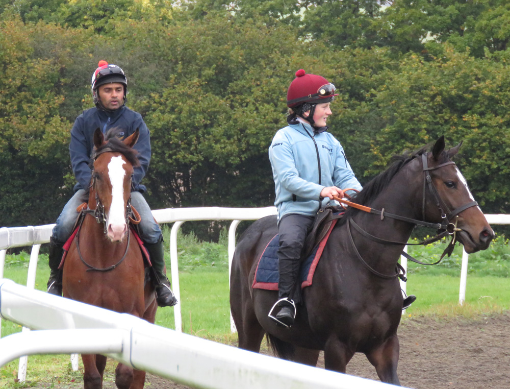 The yearling on the right was sired by Sir Prancealot - a sprint specialist trained at Herridige and retired to stud in November 2012 after three wins from his four races.