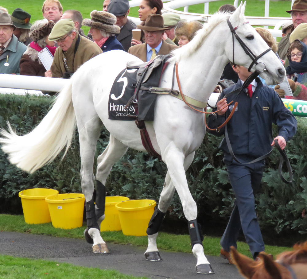 Mudfree: in the ring before the race