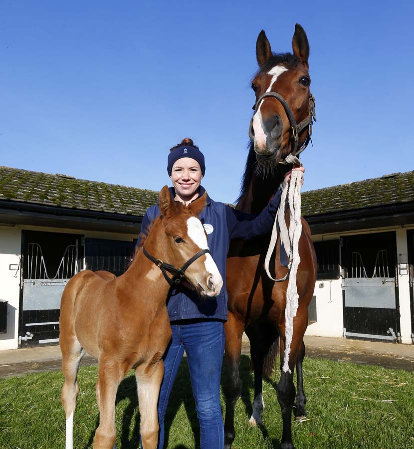 Josephine Saunders with a Hillwood mare & offspring (Photo copyright Dan Abraham)