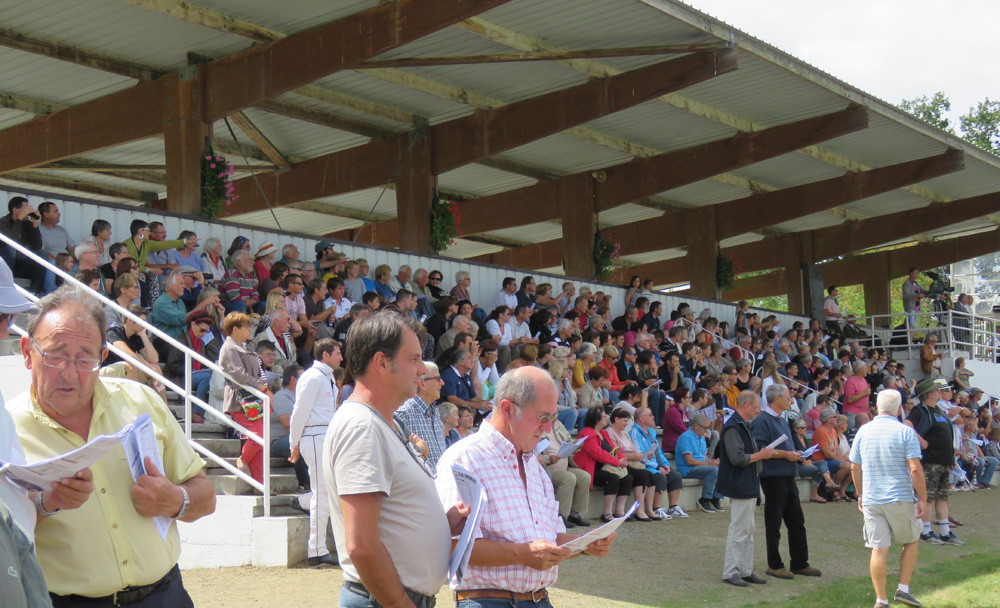Le Dorat's grandstand 