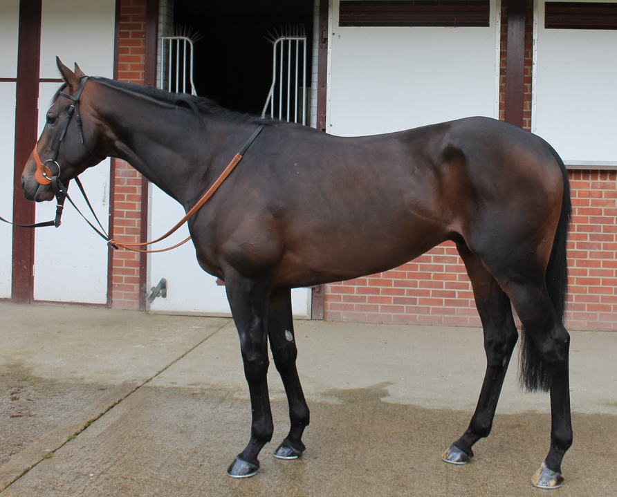 Agent Murphy (Photo from the Brian Meehan website)