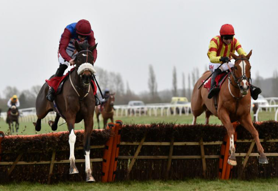 Poetic Rhythm (rt) at the last with Mulcahys Hill (Photo: Newbury Racecourse)