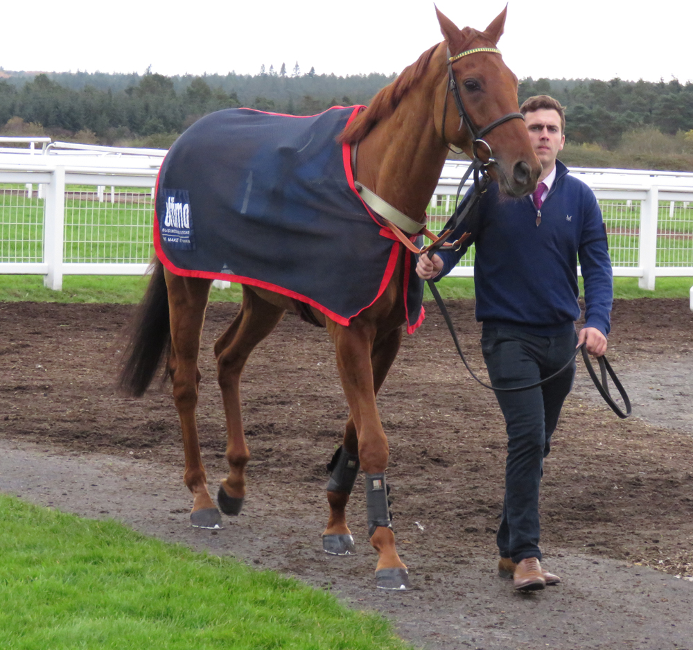 Yanworth at Exeter - before his fall 