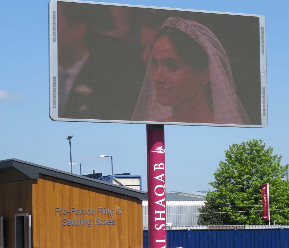 An unusual sight on the parade ring's big screen