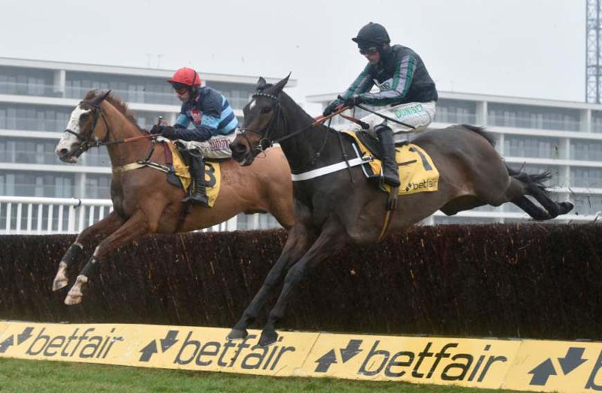Altior - nearest the camera - jumps beside Valdez (Newbury Racecourse photo)