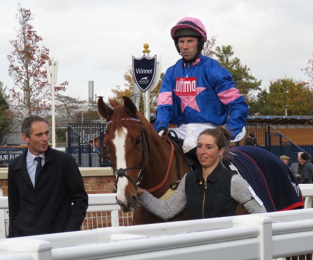 Wayne Hutchinson takes Dingo Dollar to the start at Newbury  (November 8)