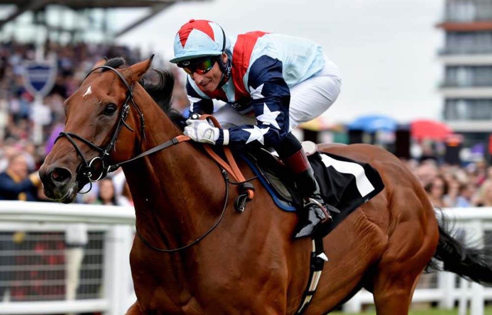 Sir Dancealot takes the Ladyswood Stud Hungerford Stakes (Photo: Newbury Racecourse)