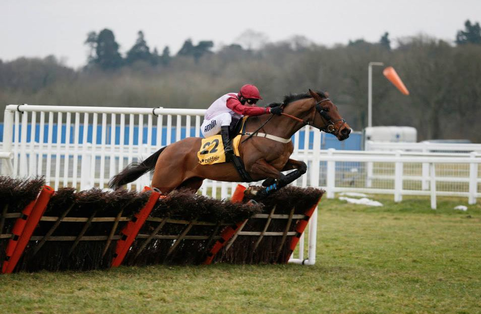 Violet Dancer wins the 2015 Betfair Hurdle (Photo: Newbury Racecourse)