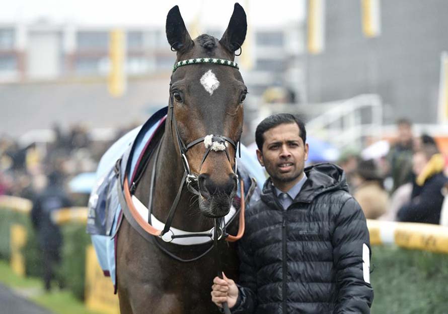 Altior (Photo: Newbury racecourse)