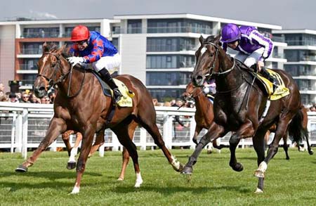 Dandhu (left) wins Dubai Duty Free Stakes (Photo: Newbury Racecourse)