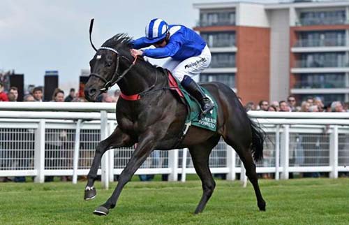 Mohaather wins Watership Down Stud Greenham Stakes (Photo: Newbury Racecourse) 