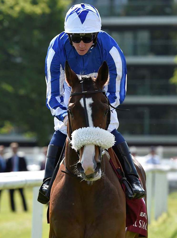 Break The Bank at Newbury Racecourse in 2018