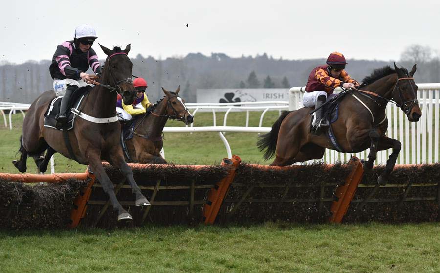 Emitom (right) on the way to win The RR Elite 'National Hunt' Novices' Hurdle Race