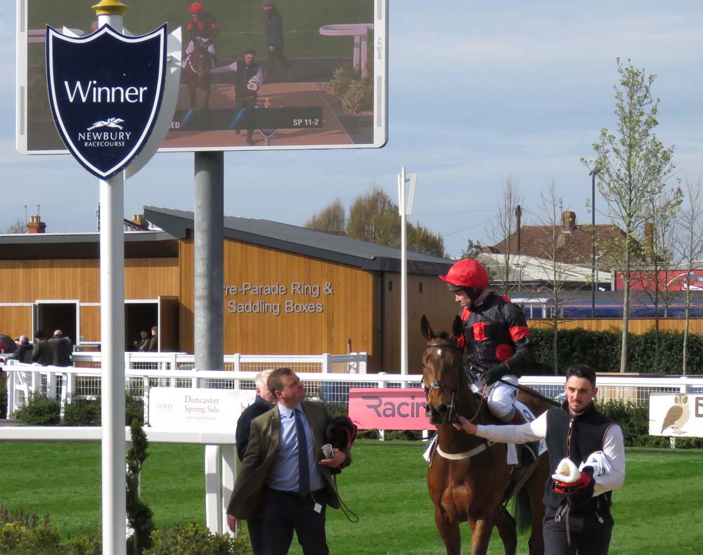 Winner's enclosure: Neil King (left) with Richard Johnson & The Knot Is Tied