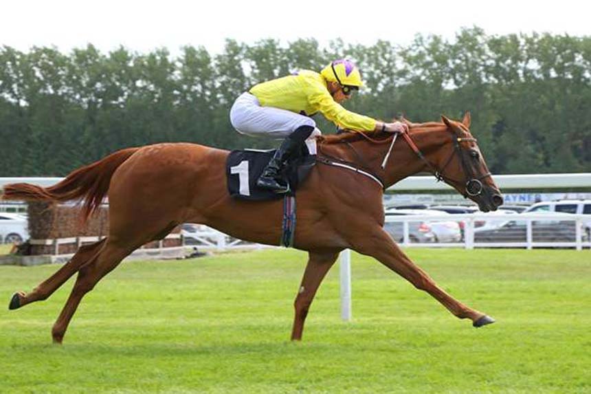 2018: Sea of Class winning the Listed Johnnie Lewis Memorial British EBF Stakes (Photo: Newbury Racecourse)
