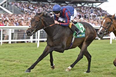 The Tin Man winning the 2016 bet365 Hackwood Stakes