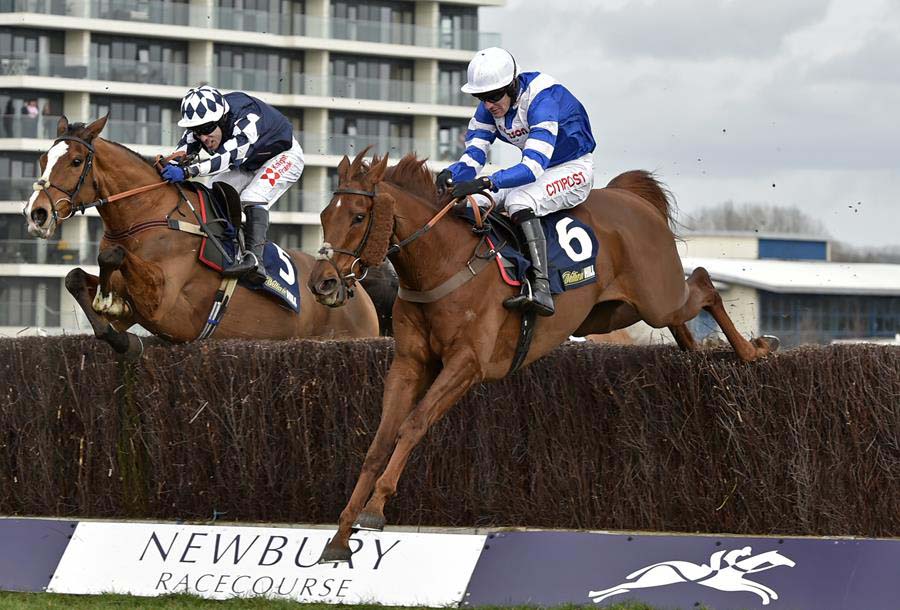 San Benedeto (right) wins the 2019 William Hill Supporting Greatwood Gold Cup (Photo: Newbury Racecourse) 