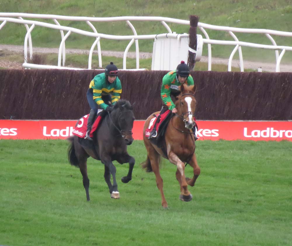 Ms Parfois (with white face - on right) and Regal Encore