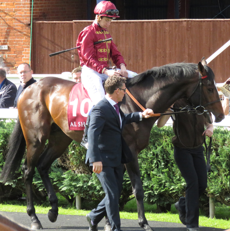 Imperial Aviator before the race 