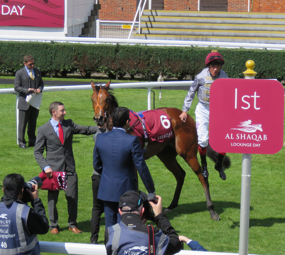 Frankie's flying dismount from Mehmas 