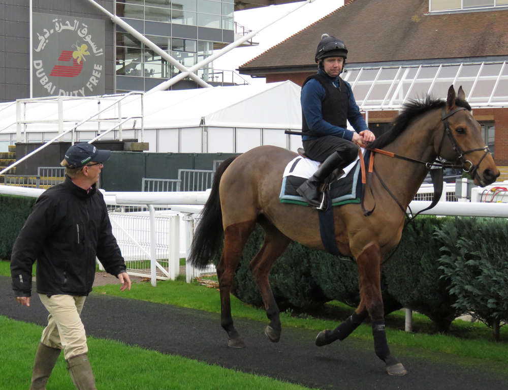 William Greatrex & Cole Harden