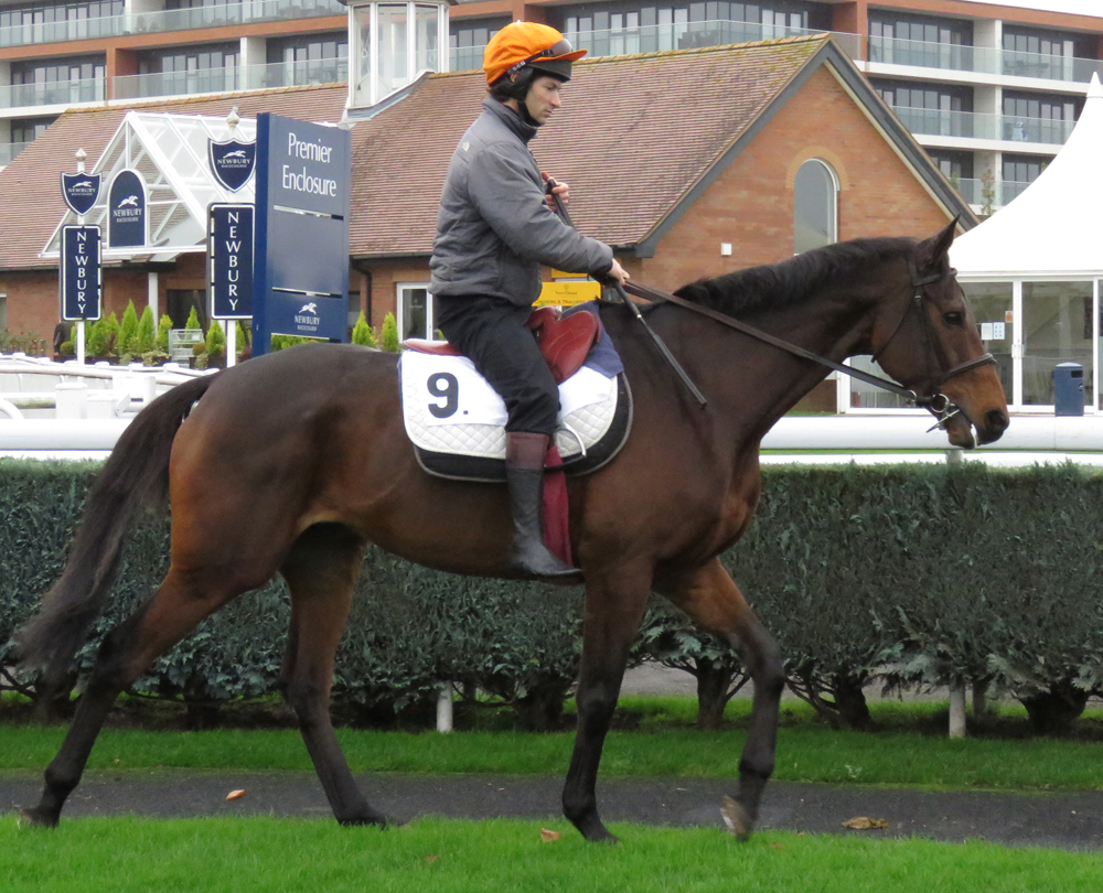 Young Master ridden by Sam Waley-Cohen