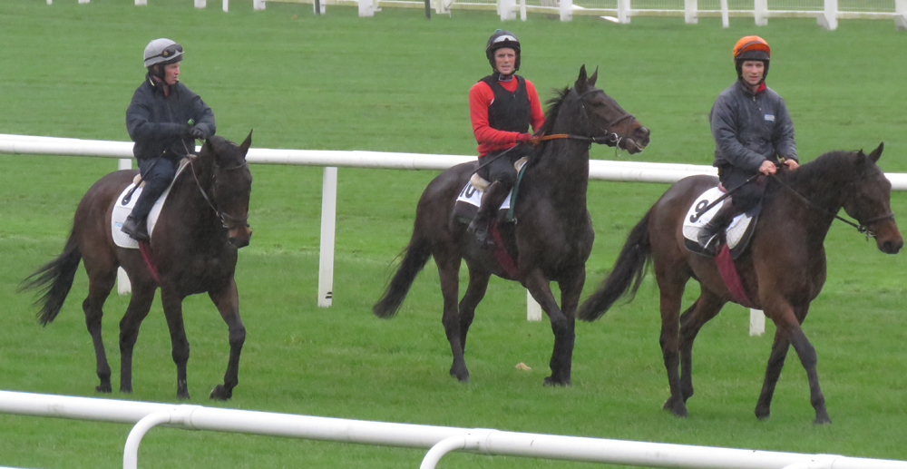 Neil Mulholland's horses check Newbury's turf