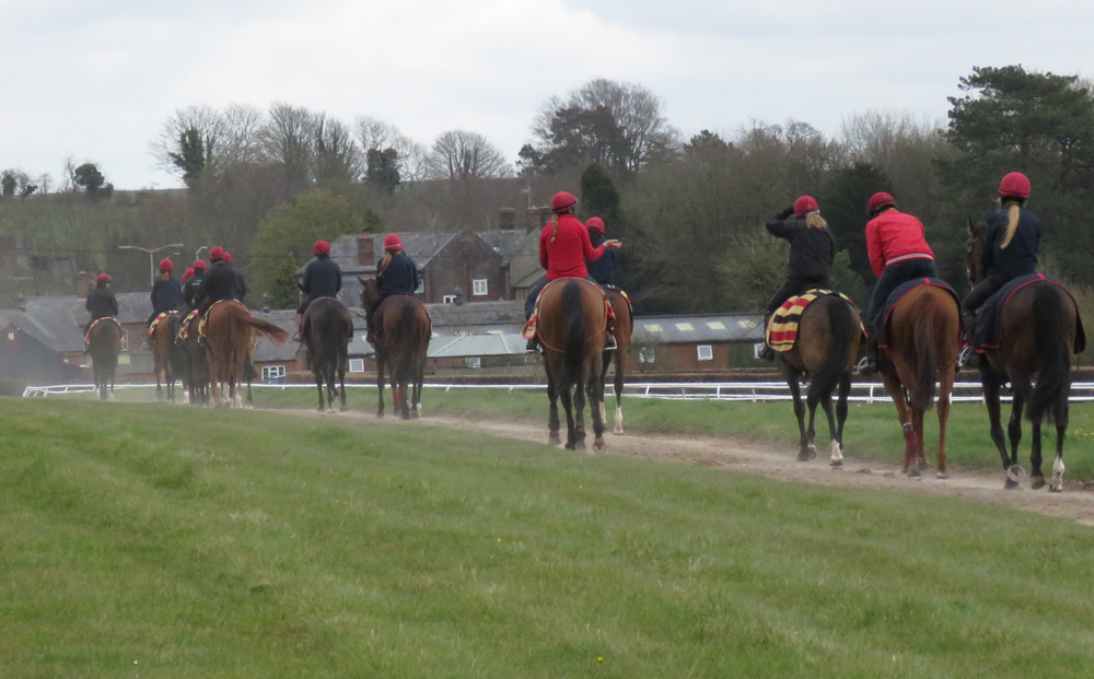 On the way back from the gallop