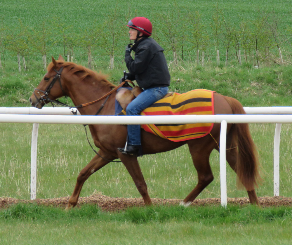 A Frankel two-year-old