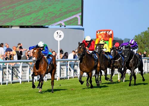 Amplify under Jason Watson leads them home (Photo: Denis Murphy - Official Photographer)