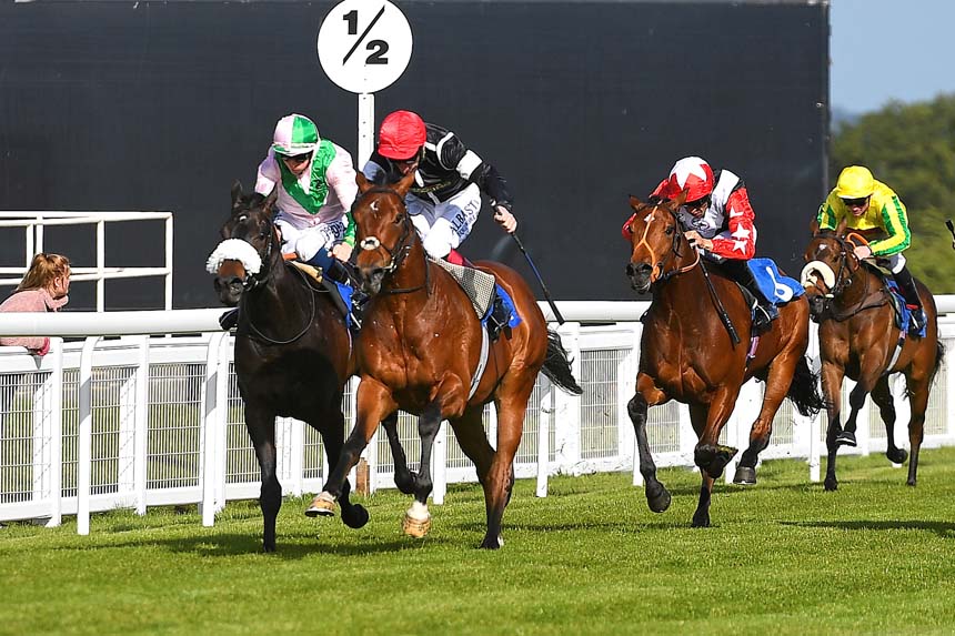 Firepower & Adam Kirby (red cap) coming through win (Photo: Denis Murphy - official photographer)