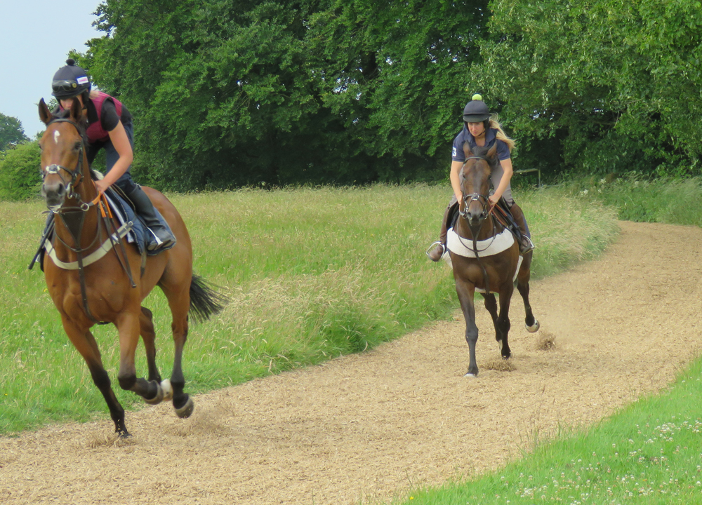 On the all-weather circuit 