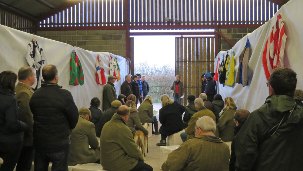 In the barn with owners' colours 