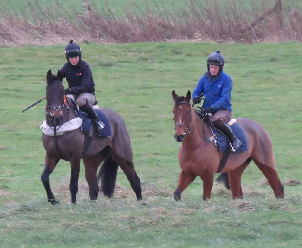 Driftashore (left with Brodie Hampson) & Mandy's Boy (with Ben Poste)
