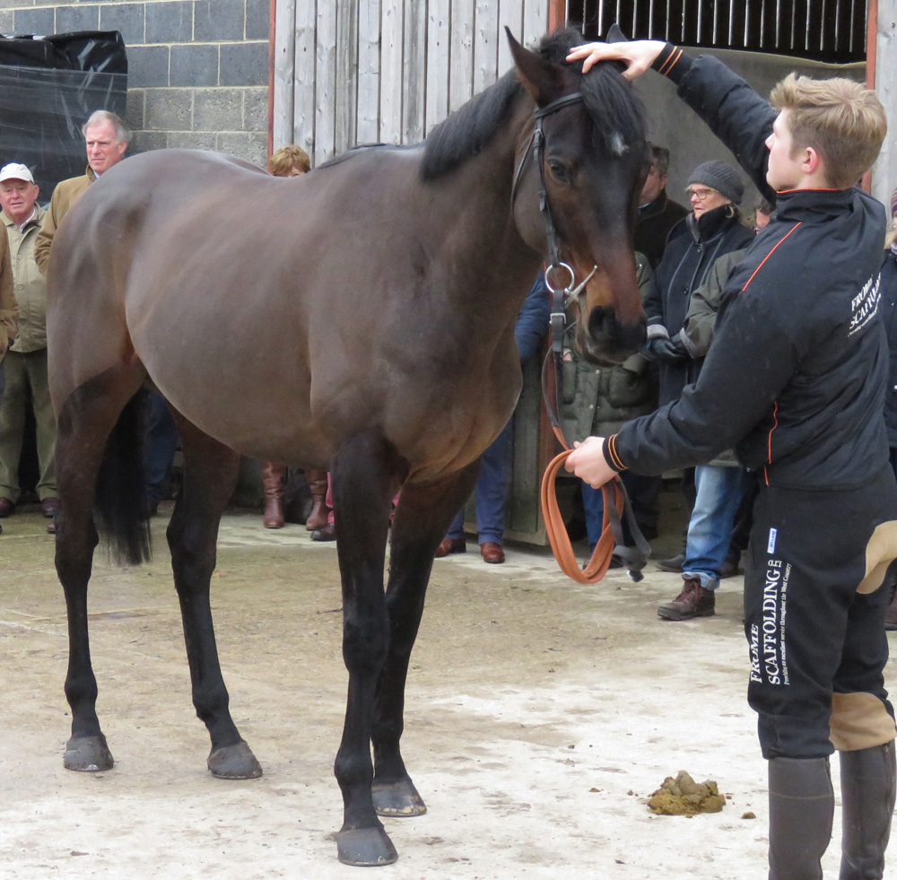 Versant - with Sam Burton