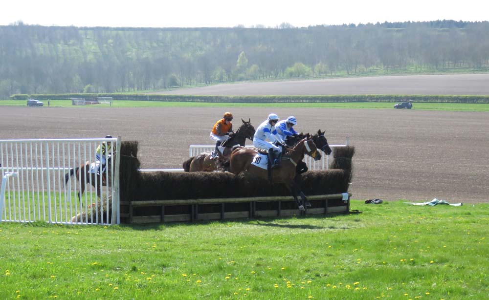 Tedworth 2017 at Barbury Racecourse 