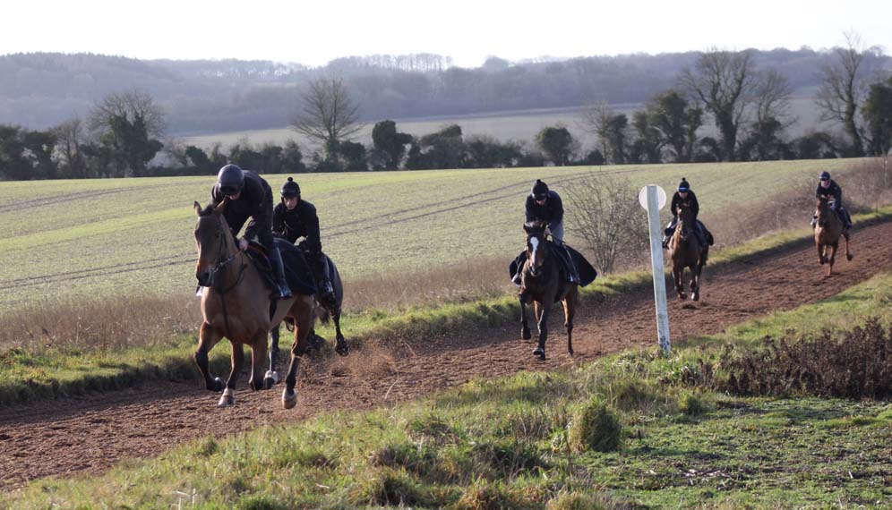 On the Lambourn all weather gallop